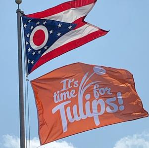 Promotional Tulip Flag 