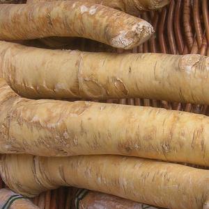 Horseradish 