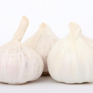 Garlic Softneck Transylvanian