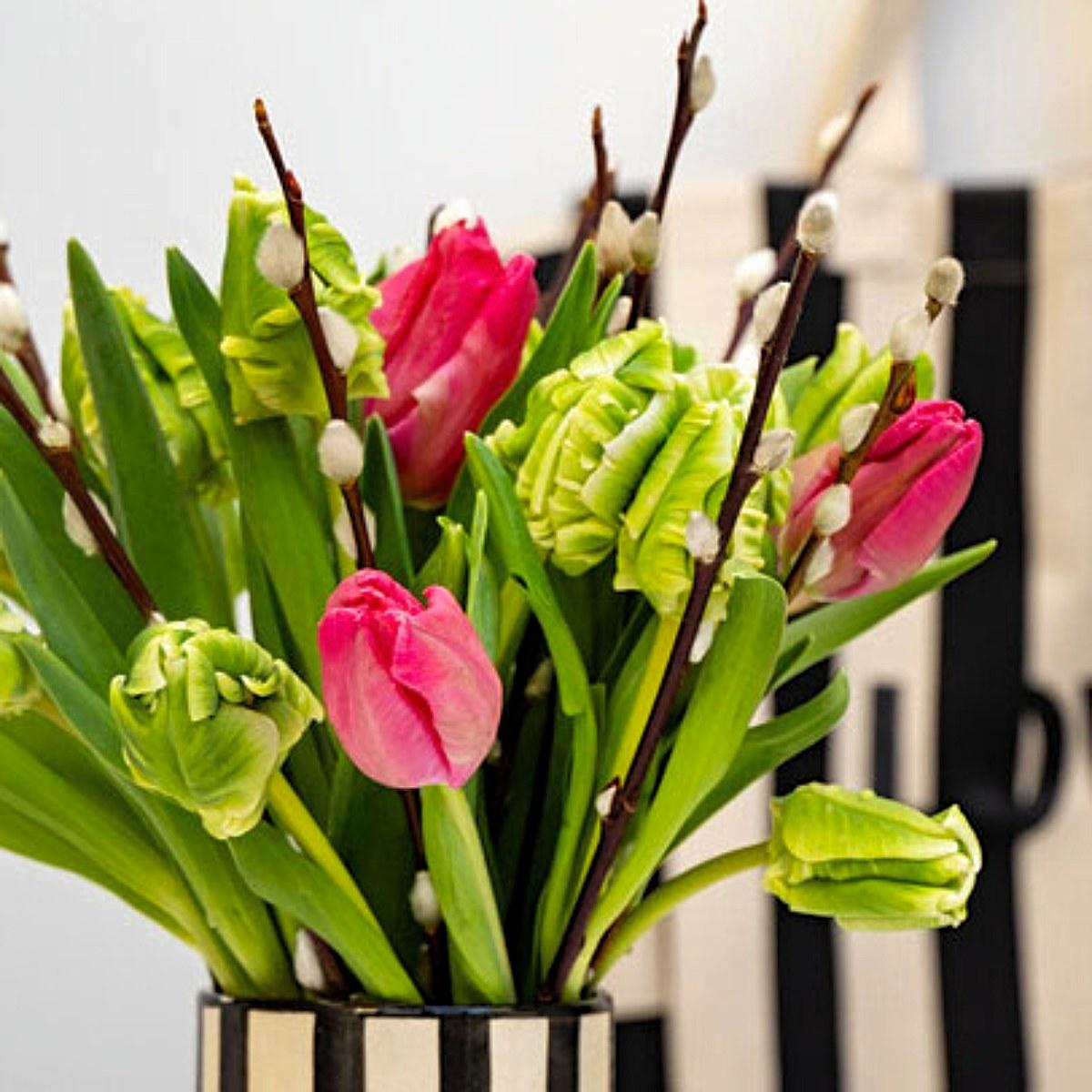 Tulip Mix 'Blushing Meadow' - Pre-Order for Fall 2025 from Leo Berbee Bulb Company