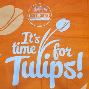 Promotional Tulip Flag 