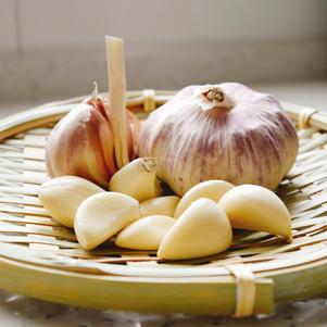 Garlic Garlic