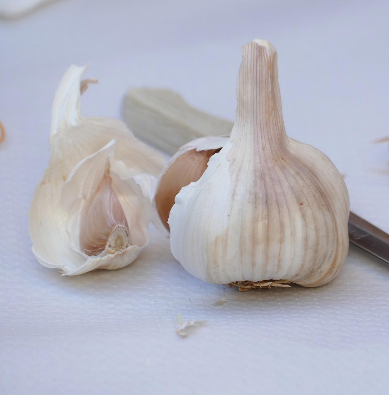 Garlic Softneck 'Nootka Rose' - Garlic from Leo Berbee Bulb Company