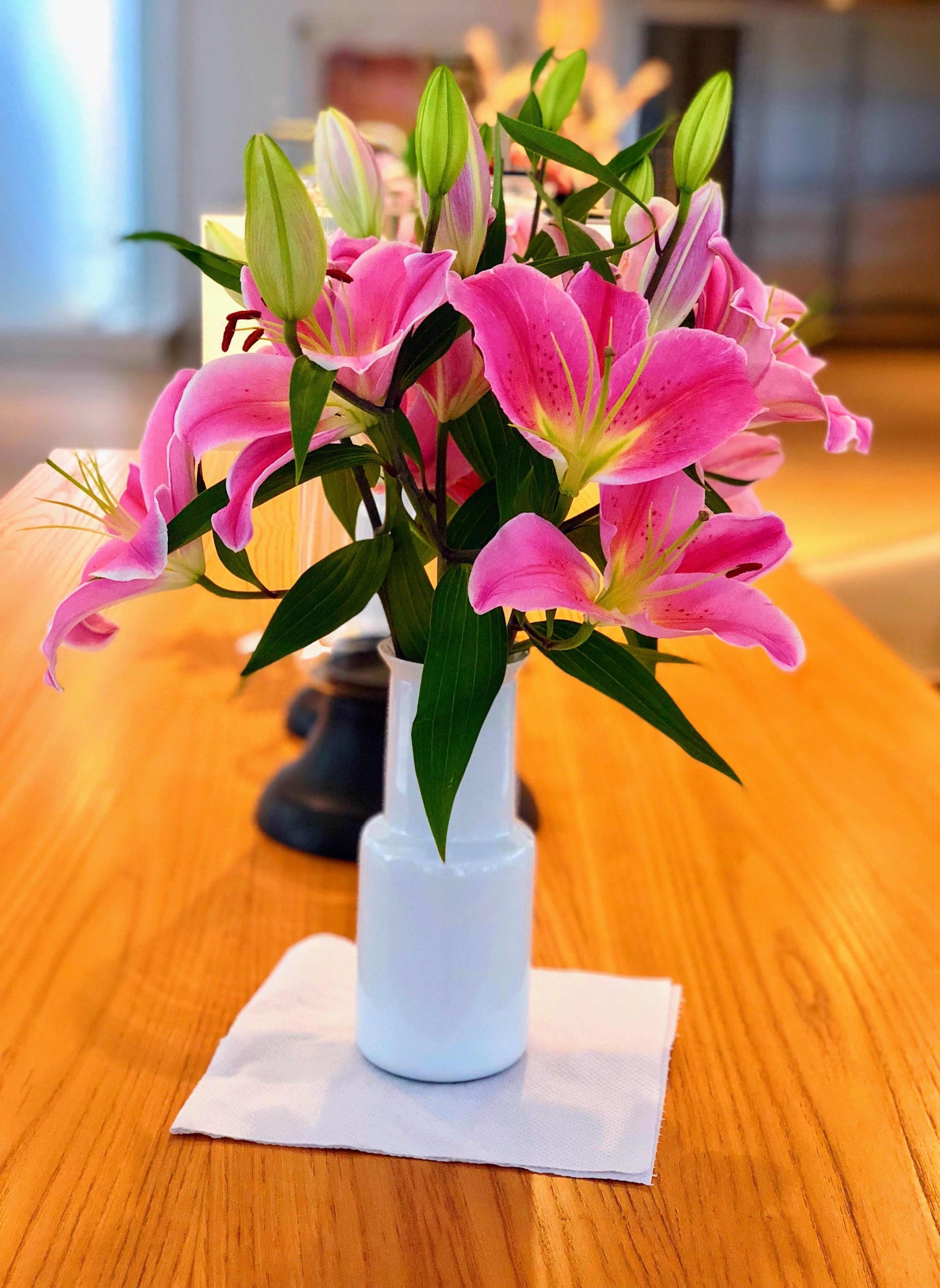 Lilies Oriental 'Gentle Romance' - Romance Lilies (Shipping begins Jan. 2021) from Leo Berbee Bulb Company