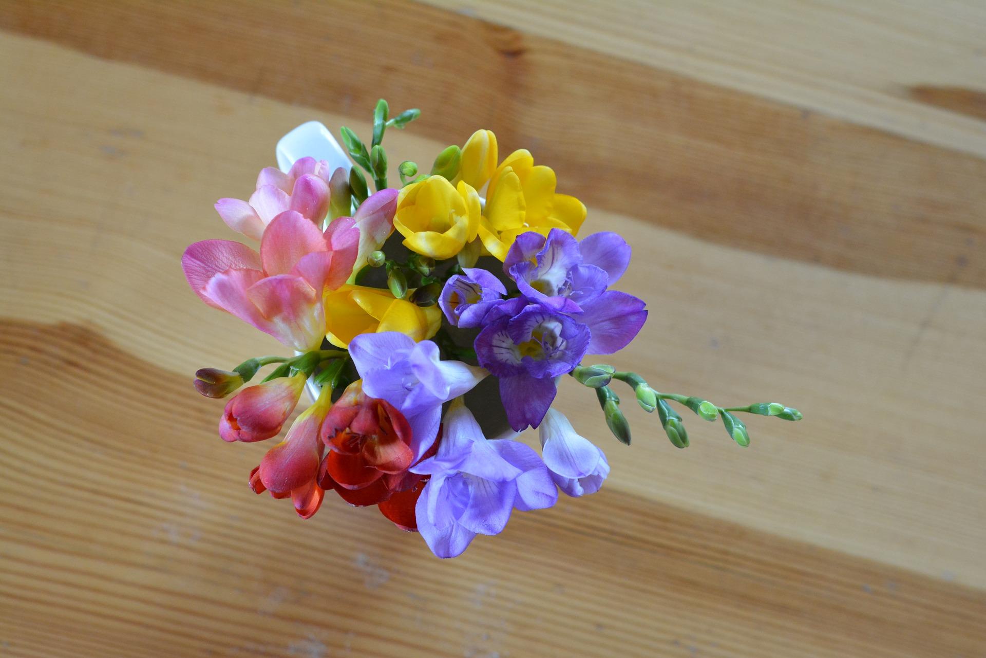 Freesia Mix Singles from Leo Berbee Bulb Company