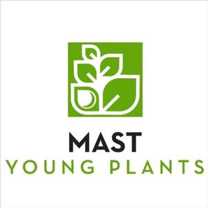 Mast Young Plants