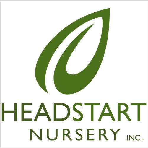 www.headstartnursery.com