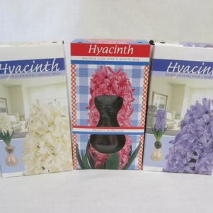 Hyacinth Gift Kits 
