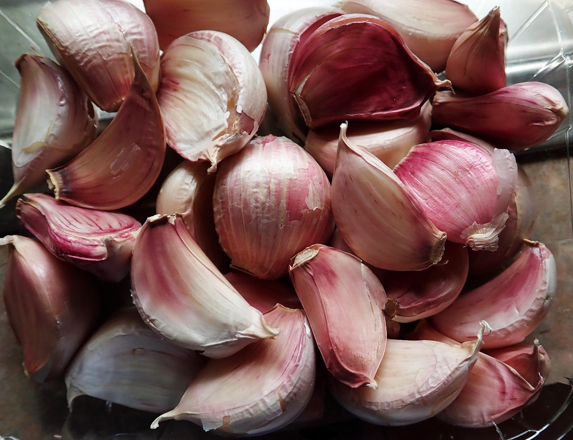 Garlic Softneck 'Inchelium Red' - Garlic from Leo Berbee Bulb Company