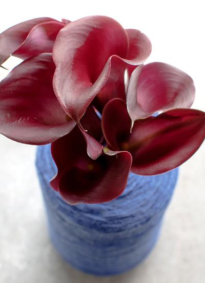 Zantedeschia 'Santiago/Red Emotion' - Calla from Leo Berbee Bulb Company