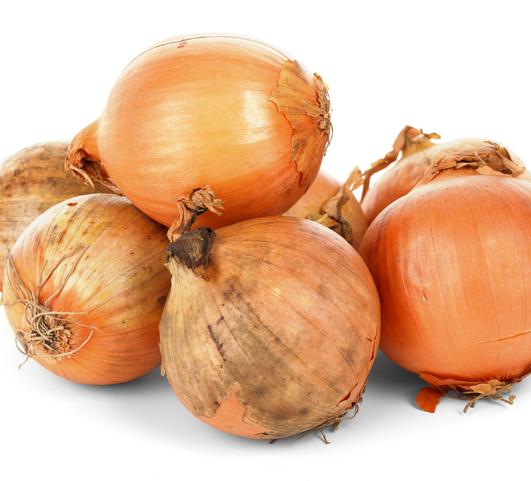 Onions Spanish/Sturon Yellow from Leo Berbee Bulb Company