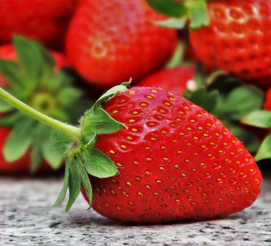 Strawberries Junebearing Allstar from Leo Berbee Bulb Company
