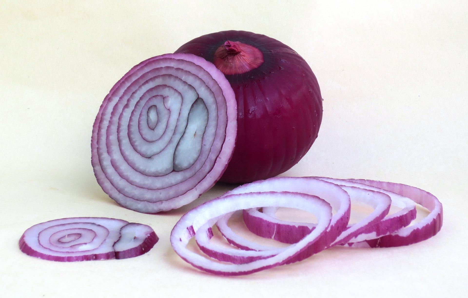 Onions Karmen Red from Leo Berbee Bulb Company